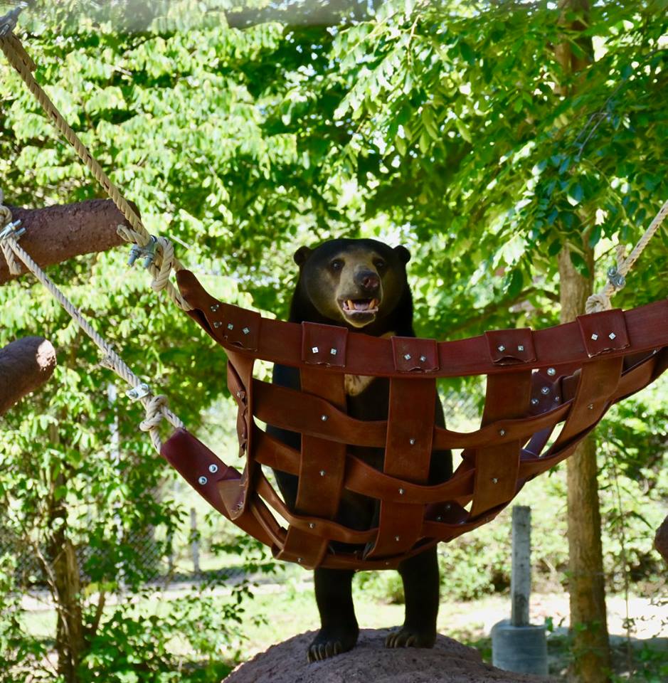 Hammock Amok in Bangkok
