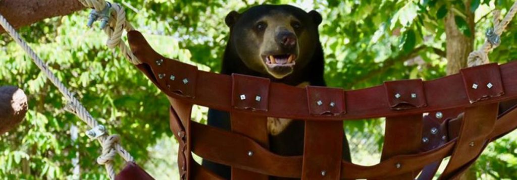 Hammock Amok in Bangkok