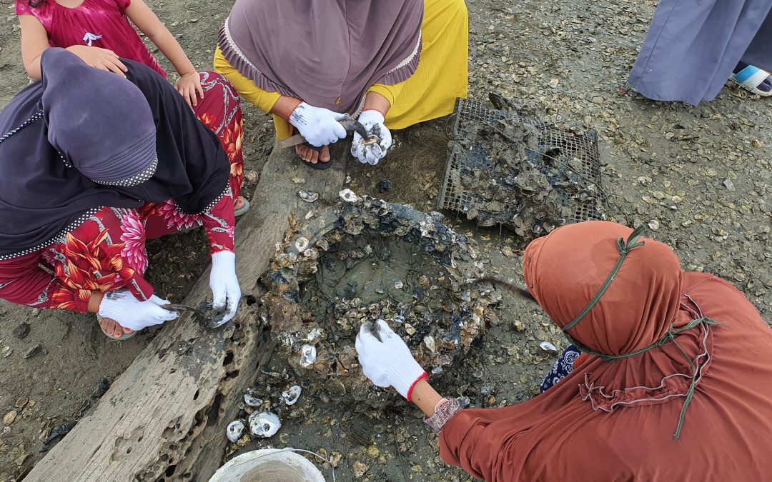Rebuilding Livelihoods for Women Oyster Farmers in Aceh