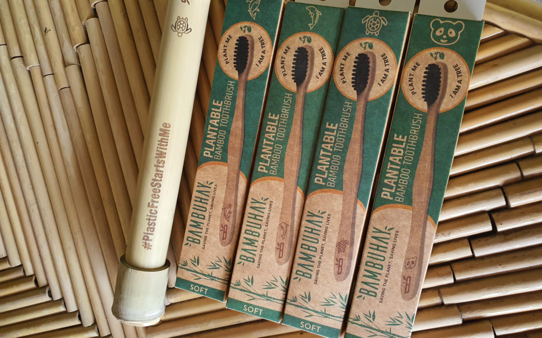 Turning Bamboo into Green Livelihoods in the Philippines