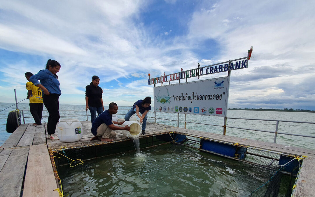 Restoring Oceans and Livelihoods through Sustainable Fishing in Thailand